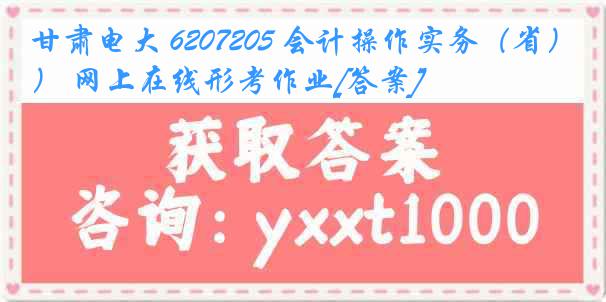 甘肃电大 6207205 会计操作实务（省） 网上在线形考作业[答案]