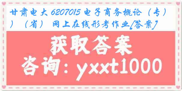 甘肃电大 6207015 电子商务概论（专）（省） 网上在线形考作业[答案]