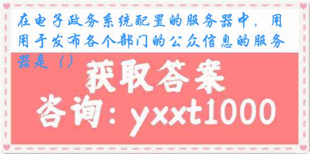 在电子政务系统配置的服务器中，用于发布各个部门的公众信息的服务器是（）