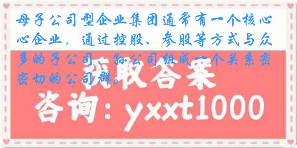 母子公司型企业集团通常有一个核心企业，通过控股、参股等方式与众多的子公司、孙公司组成一个关系密切的公司群。