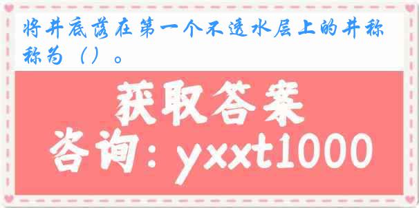 将井底落在第一个不透水层上的井称为（）。