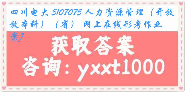 四川电大 5107075 人力资源管理（开放本科）（省） 网上在线形考作业[答案]