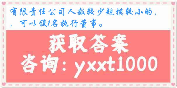 有限责任公司人数较少规模较小的，可以设1名执行董事。