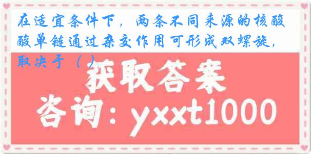 在适宜条件下，两条不同来源的核酸单链通过杂交作用可形成双螺旋，取决于（ ）