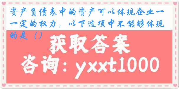 资产负债表中的资产可以体现企业一定的权力，以下选项中不能够体现的是（）