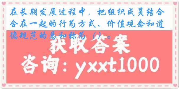 在长期发展过程中，把组织成员结合在一起的行为方式、价值观念和道德规范的总和称为（）。