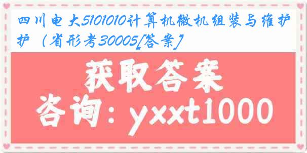 四川电大5101010计算机微机组装与维护（省形考30005[答案]